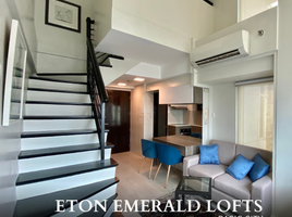 2 Bedroom Apartment for rent in SM Megamall, Mandaluyong City, Pasig City