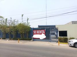 320 кв.м. Office for rent in FazWaz.ru, Centro, Tabasco, Мексика