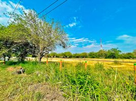  Land for sale in Tolima, Alvarado, Tolima