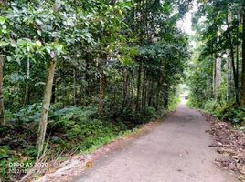  Land for sale in Ciomas, Serang, Ciomas