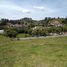  Land for sale in Marinilla, Antioquia, Marinilla