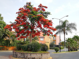 2 Schlafzimmer Villa zu verkaufen in Temixco, Morelos, Temixco