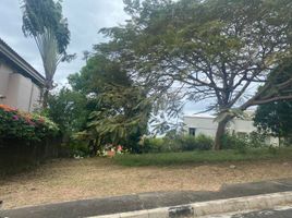  Land for sale in Nasugbu, Batangas, Nasugbu