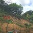  Terreno (Parcela) en venta en Baras, Calabarzon, Baras