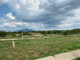  Grundstück zu verkaufen in Calamba City, Calabarzon, Calamba City
