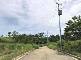  토지을(를) Balamban, 세부에서 판매합니다., Balamban