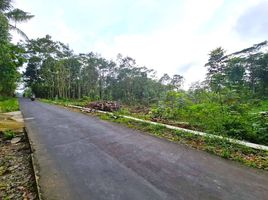  Tanah for sale in Matesih, Karanganyar, Matesih