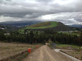  Terreno (Parcela) en venta en Cangahua, Cayambe, Cangahua