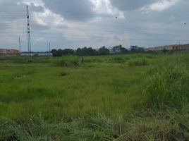  Land for sale in Daule, Guayas, Daule, Daule