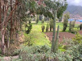  Terreno (Parcela) en venta en Tarma, Junín, Tarma, Tarma