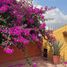 2 Schlafzimmer Wohnung zu vermieten in Queretaro, Queretaro, Queretaro, Queretaro, Mexiko