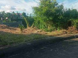  Terreno (Parcela) en venta en Cebu City, Central Visayas, Cebu City, Cebu, Central Visayas, Filipinas