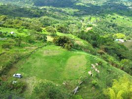  Terreno (Parcela) en venta en Marsella, Risaralda, Marsella