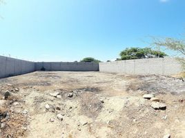 Terrain à vendre à Piura, Piura, Piura, Piura, Piura, Pérou
