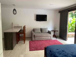 1 Bedroom Condo for rent in Manabi, Manta, Manta, Manabi