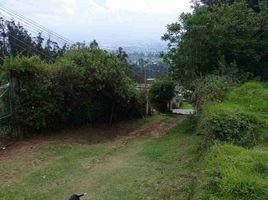  Grundstück zu verkaufen in Quito, Pichincha, Cumbaya