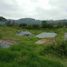  Land for sale in Pichincha, Cumbaya, Quito, Pichincha