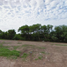 3 Bedroom House for sale in Rio Bravo, Tamaulipas, Rio Bravo