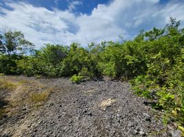  Terrain for sale in Hinagdanan Cave, Dauis, Dauis