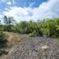  Terrain for sale in Hinagdanan Cave, Dauis, Dauis