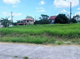  Land for sale in Cavite, Calabarzon, Silang, Cavite