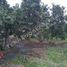  Land for sale in Julcan, La Libertad, Julcan, Julcan