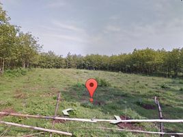  Land for sale in Pace, Nganjuk, Pace