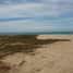  Land for sale in Petatlan, Guerrero, Petatlan