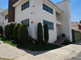 3 Schlafzimmer Haus zu verkaufen in San Luis Potosi, San Luis Potosi, San Luis Potosi, San Luis Potosi