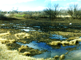  Terreno (Parcela) en venta en Rio Grande, Zacatecas, Rio Grande, Zacatecas