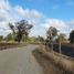  Land for sale in Nuble, Chillan, Diguillin, Nuble