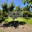  Terreno (Parcela) en venta en Los Andes, Valparaíso, Rinconada, Los Andes