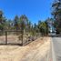  Terrain for sale in San Antonio, Valparaiso, Algarrobo, San Antonio