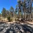  Terrain for sale in San Antonio, Valparaiso, Algarrobo, San Antonio