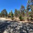  Terrain for sale in San Antonio, Valparaiso, Algarrobo, San Antonio