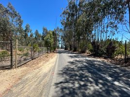  Terrain for sale in San Antonio, Valparaiso, Algarrobo, San Antonio