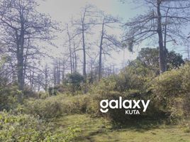  Terreno (Parcela) en venta en Jimbaran, Bali, Jimbaran, Badung