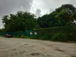  Grundstück zu verkaufen in Paranaque City, Metro Manila, Paranaque City