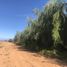  Land for sale in San Clemente, Maule, San Clemente, Talca