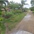  Terreno (Parcela) en venta en Panglao, Central Visayas, Panglao, Bohol, Central Visayas, Filipinas
