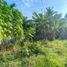  Terreno (Parcela) en venta en Panglao, Central Visayas, Panglao, Bohol, Central Visayas, Filipinas