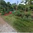  Terreno (Parcela) en venta en Panglao, Central Visayas, Panglao, Bohol, Central Visayas, Filipinas