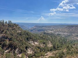  Grundstück zu verkaufen in Durango, Durango, Durango, Durango