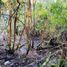  Terreno (Parcela) en venta en Chile, Los Muermos, Llanquihue, Los Lagos, Chile