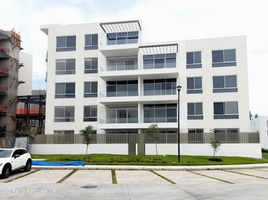 2 Schlafzimmer Wohnung zu verkaufen in Queretaro, Queretaro, Queretaro, Queretaro