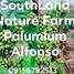  Land for sale in Alfonso, Calabarzon, Alfonso
