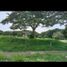 Terrain à vendre à Calamba City, Calabarzon, Calamba City