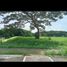 Terrain à vendre à Calamba City, Calabarzon, Calamba City