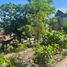  Terrain for sale in Coron, Palawan, Coron