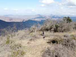  Terreno (Parcela) en venta en Melipilla, Santiago, Curacavi, Melipilla